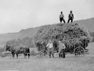 OK_1938_02_Personen_Umgebung_Landwirtschaft_Arbeit_000735_BNR116.jpg