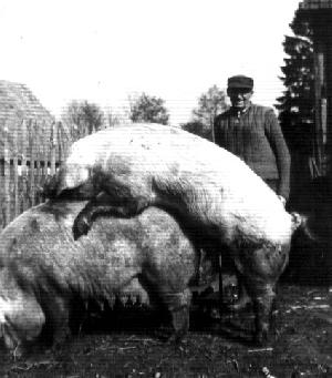 OK_1960_02_Personen_Heier_Landwirtschaft_Arbeit_192696_BNR224.jpg