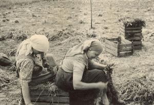 OK_1960_02_Personen_Umgebung_Landwirtschaft_Arbeit_003112_BNR195.jpg