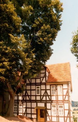 OK_1981_02_Gebaeude_Pfarrgasse_keine_keine_196183_BNR263.jpg