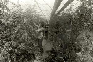 OK_1989_06_Personen_Oberdorf_Landwirtschaft_Arbeit_098538_BNR286.jpg